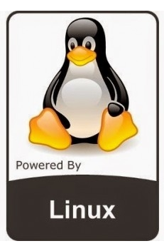 Linux Kernel.png