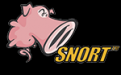 Snort网络入侵检测/防御系统   2.9.11.1 