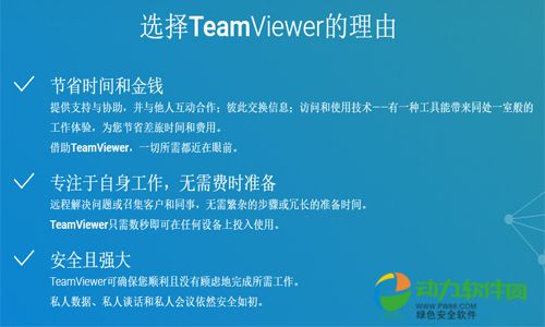 TeamViewer 14下载