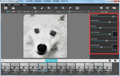 照片雪景效果添加软件Snow Daze最新版