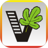 我要自学网V币破解版 v1.6.6