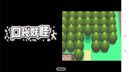 口袋妖怪钻石中文版