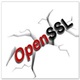 OpenSSL最新版下载 v1.1.0