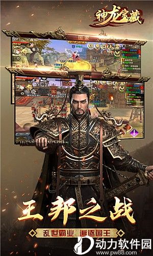 神龙宝藏