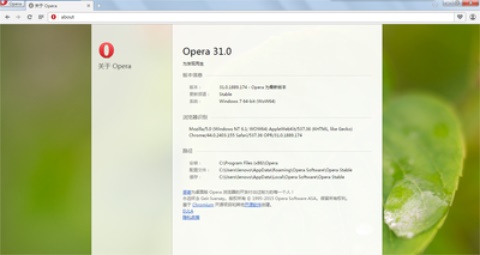 Opera浏览器精简版