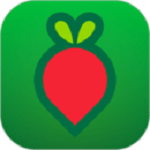 叮咚买菜app