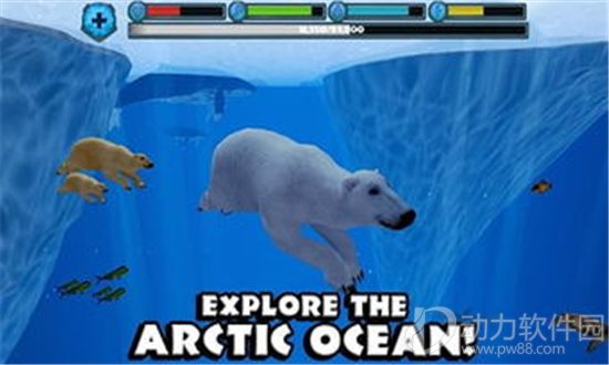 动物北极熊模拟手游