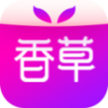 香草社交1对1聊天