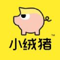 小绒猪(手机纪念日)APP