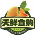 天鲜宜购苹果版