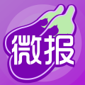 茄子微报安卓版