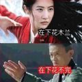在下花木兰在下花不完表情包图片分享APP