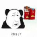c6b9dc19a08c94ca8ee576216c61df8d