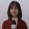 央视记者王冰冰图片高清无水印APP