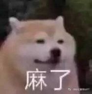 2020092610253221817