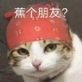 蕉太狼蕉个朋友表情包软件