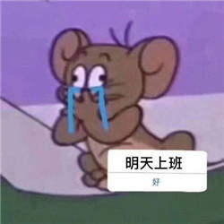 2020100935761596