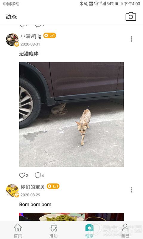 a447757aeda2dab84b0f65370b16a210